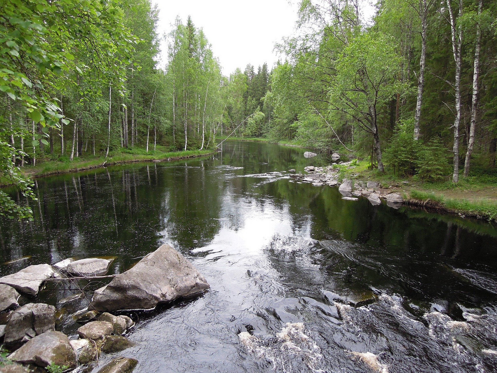 bosques-finlandia