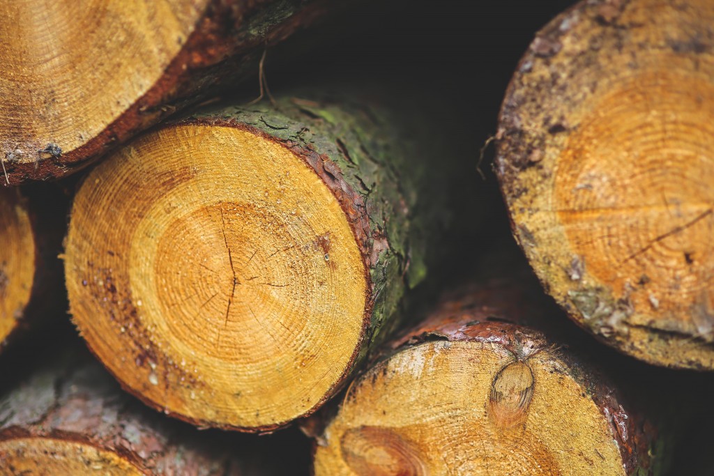Tipos y calidades de madera en construcción de viviendas – Viviendu Blog y  Wiki