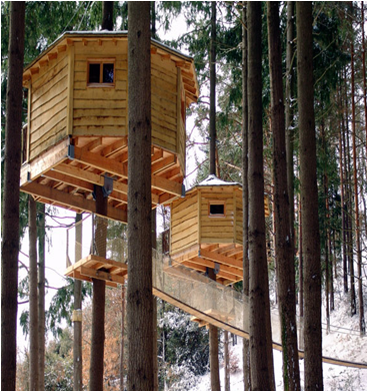 Cabañas de madera en Arquitectura Inteligente 10 7645